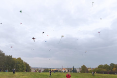 2f3ab9b8-1801-4554-83f0-eeb0e9b2b90c