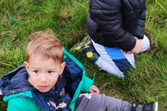 3841c3c9-cc42-4a44-ba2b-02d949a4b321