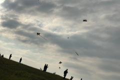 4fd08214-5ae0-4623-b08d-7daa5962562f