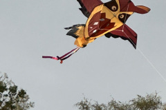 5b5b3347-203d-4384-893f-90cd24071481