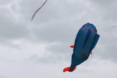 89b3a457-6091-4fc7-902b-3c4c642f50a3