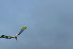 a3cdf157-cd69-40eb-9067-2798563c0688