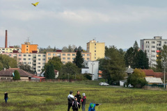 ad41b5e1-ff9e-4447-9b2f-d0a1d1b5c93d