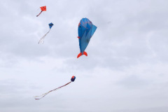 b513ed61-a1cd-4ef2-8041-972cc7136c6c