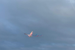 ebee282c-6460-4590-b36e-6ea9c68bdfa4