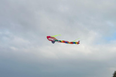 fbbe1af2-1f47-4bf7-96c6-17a503cfa297