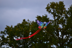 DSC_7796