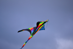 DSC_7854