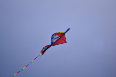 DSC_7879