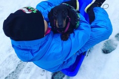 2_MicrosoftTeams-image-5