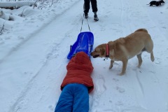 2_MicrosoftTeams-image-6