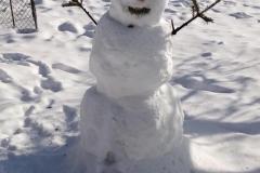 MicrosoftTeams-image-13