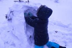 MicrosoftTeams-image-17