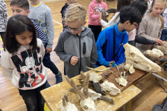 A5F55389-7E5C-4E2E-9DAC-4D3E70682DE4