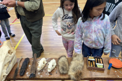 DF080074-575A-4113-8C72-C28E8D5C5589