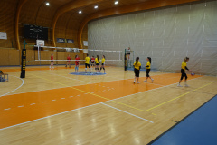 DSC01141