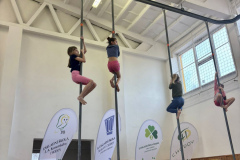 39cec7b7-95c5-403c-9702-eb8884650b95