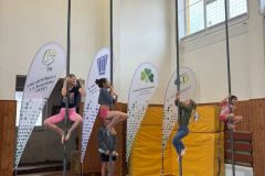 68b8fda6-4657-45e8-a90d-eb8fc7567e7b