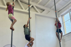 9d867588-aaf8-414f-ae9c-fb7f7569d301