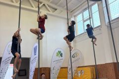 c8319710-df08-4705-9522-22cab1da4ffd