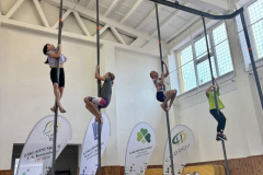 f298d531-cbf8-4553-9cac-c17b926a9e4e