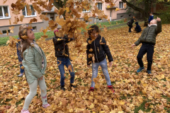 D0687C0C-C87E-4C79-8404-2D98F7F32FF2