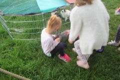 IMG_0410