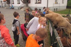 IMG_0434