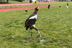 2_PHOTO-2025-04-09-16-56-01