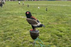 PHOTO-2025-04-09-16-56-01