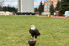 PHOTO-2025-04-09-16-56-02