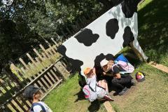 IMG-20240618-WA0006