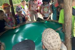IMG-20240618-WA0019