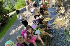 IMG-20240618-WA0024