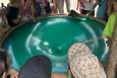 IMG-20240618-WA0029